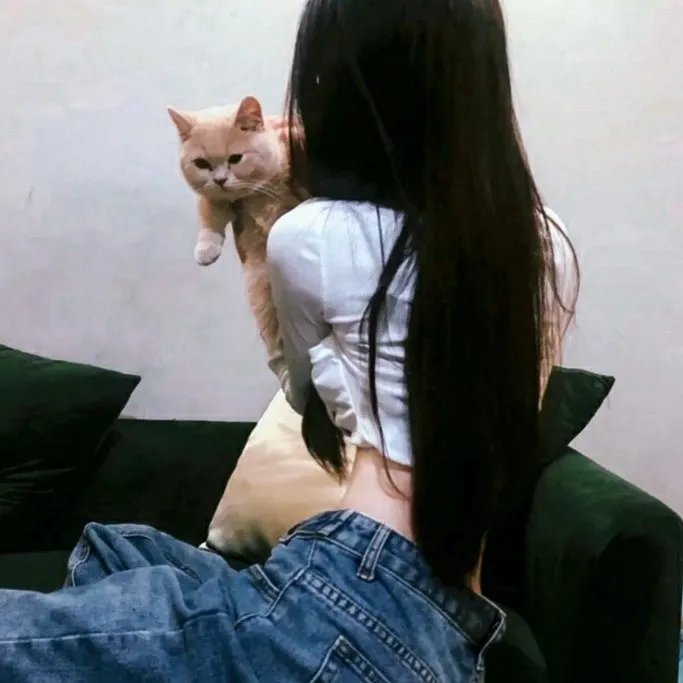 文明的轨迹