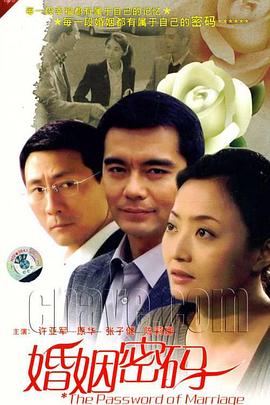 风载歌行 封面图